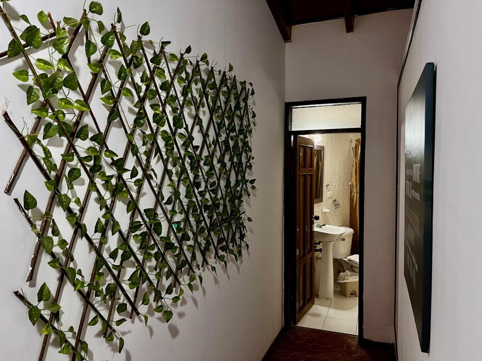 The Chill In Mansion Hostel Santa Marta Ngoại thất bức ảnh